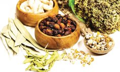 تدابیر تندرستی در فصل پاییز از نگاه طب سنتی ایران