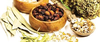 تدابیر تندرستی در فصل پاییز از نگاه طب سنتی ایران