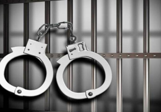 دستگیری زوج کلاهبردار با ترفند ارائه رسیدهای جعلی در سیرجان