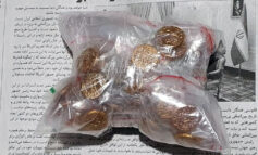 کشف83 شي باستانی در بم